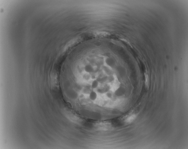 X0000075860619200609221757