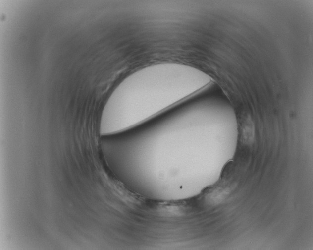 X0000075860620200609221757