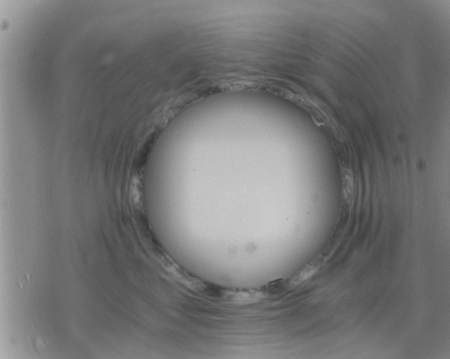 X0000075860621200609221757