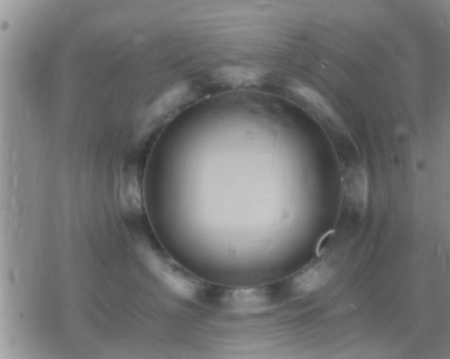 X0000075860622200609221757