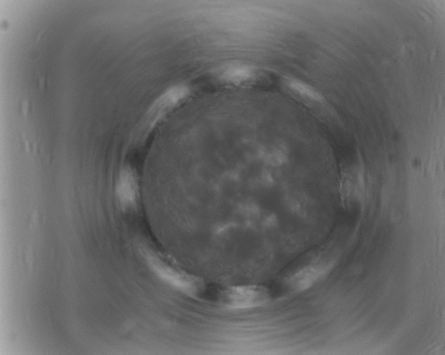 X0000075860623200609221757