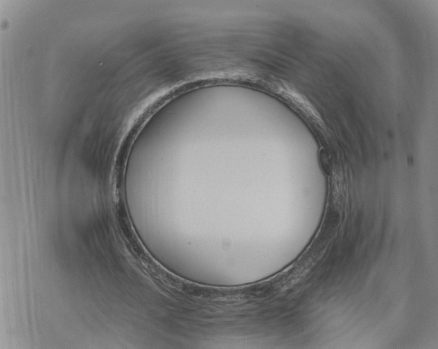 X0000075860628200609221756