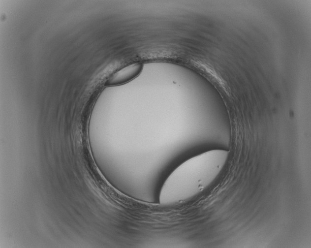 X0000075860631200609221756