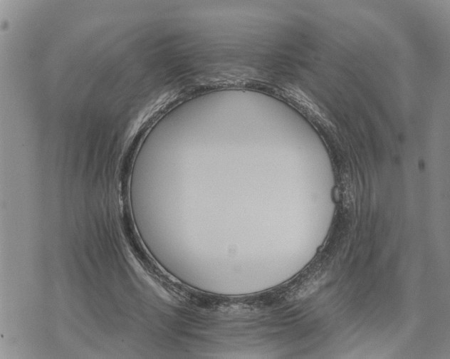 X0000075860634200609221756