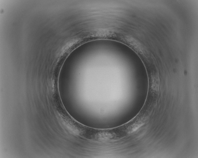 X0000075860636200609221756