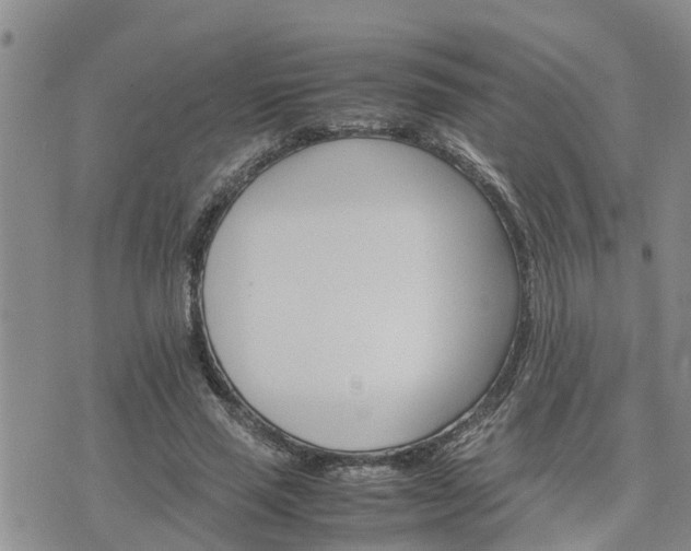 X0000075860637200609221756