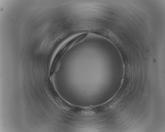 X0000075860644200609221756