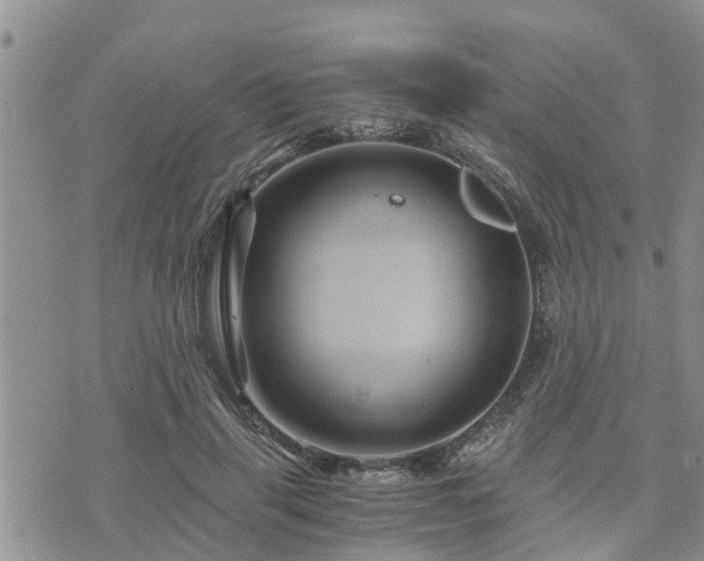 X0000075860645200609221756