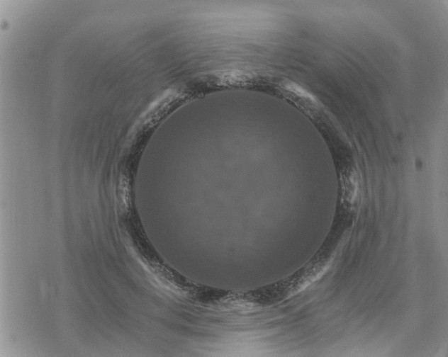 X0000075860648200609221756