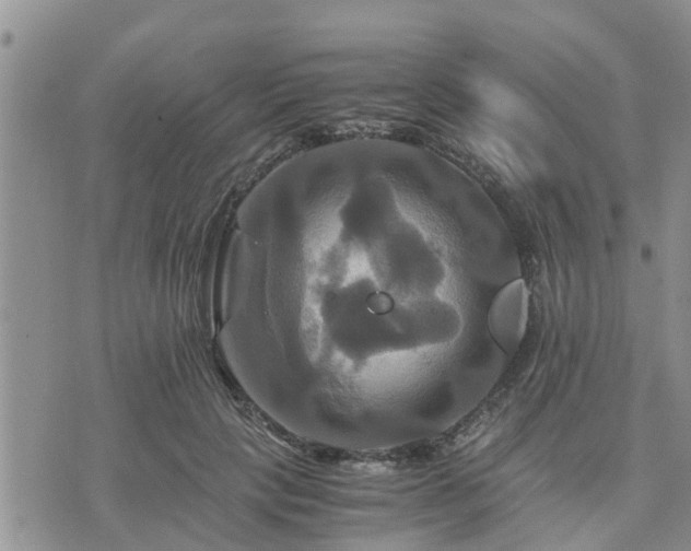 X0000075860649200609221757