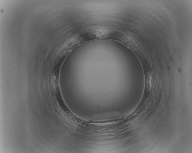 X0000075860650200609221757