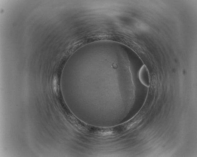 X0000075860651200609221757