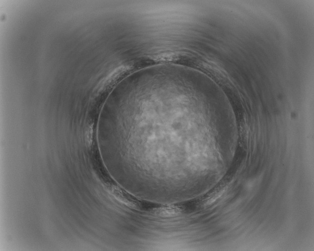 X0000075860652200609221757