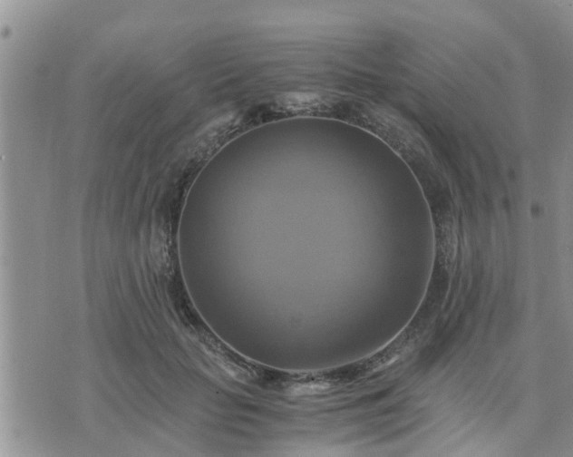 X0000075860653200609221757