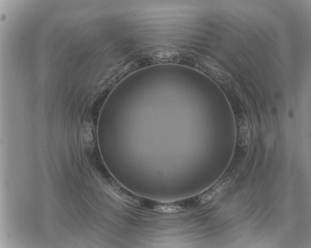 X0000075860654200609221757