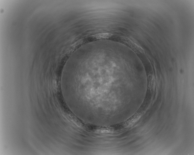 X0000075860655200609221757