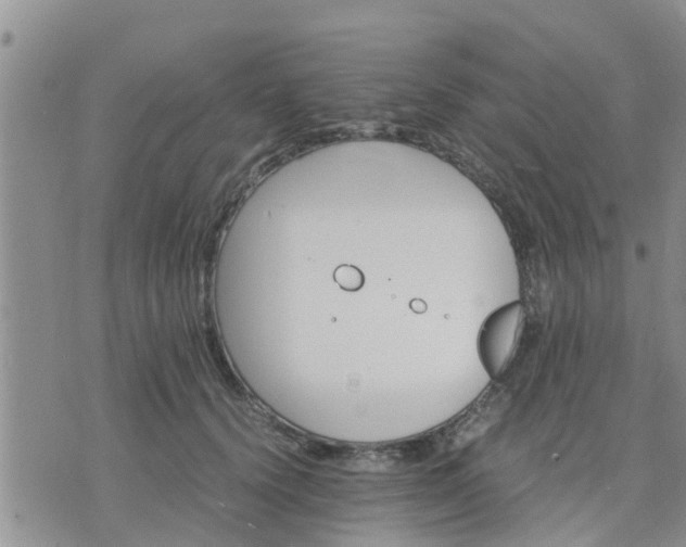 X0000075860656200609221757