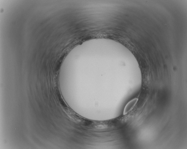 X0000075860658200609221757