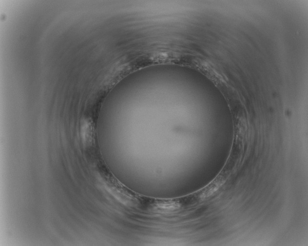 X0000075860659200609221757