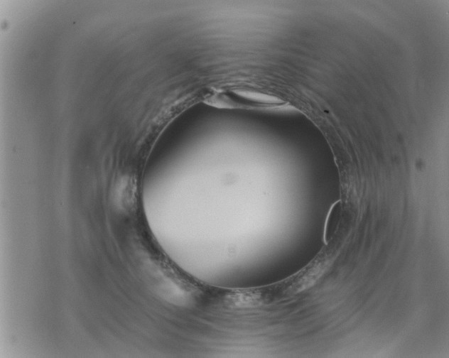 X0000075860660200609221757