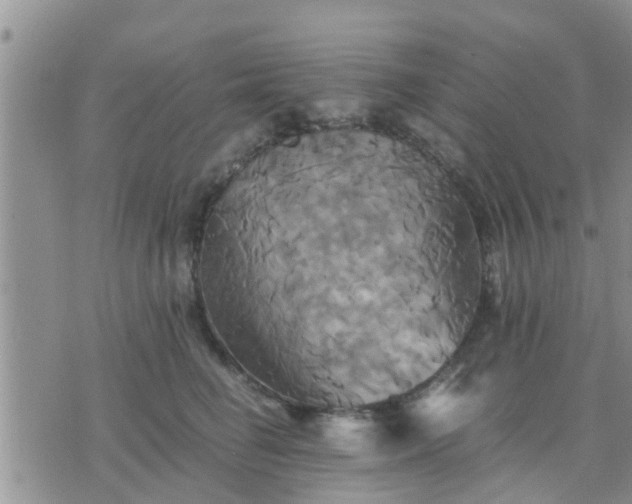 X0000075860662200609221757