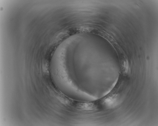 X0000075860663200609221757