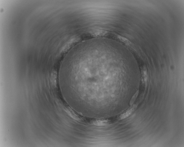 X0000075860664200609221757