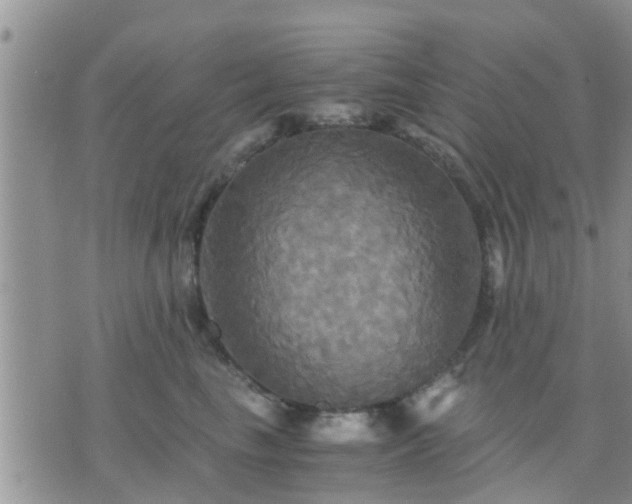 X0000075860665200609221757