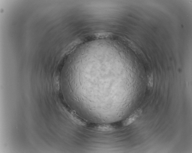 X0000075860666200609221757