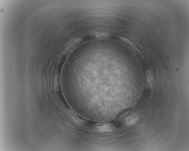 X0000075860667200609221757