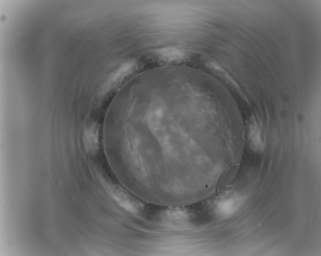 X0000075860668200609221757