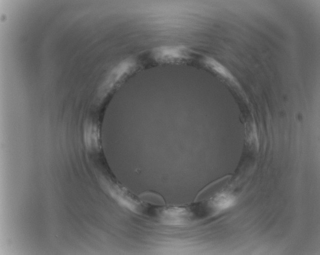 X0000075860669200609221757