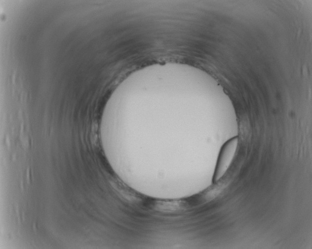 X0000075860671200609221757