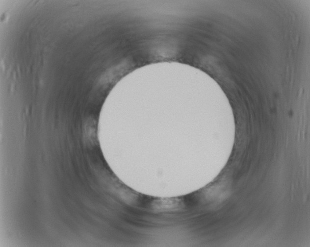 X0000075860672200609221757