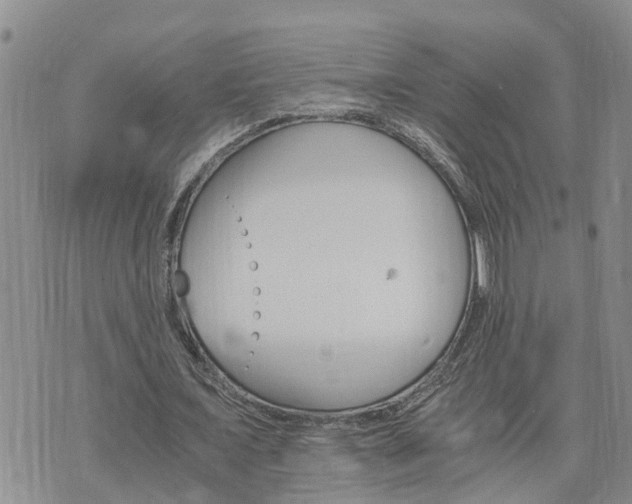 X0000075860675200609221756