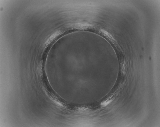 X0000075860679200609221756