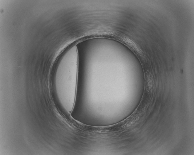 X0000075860680200609221756