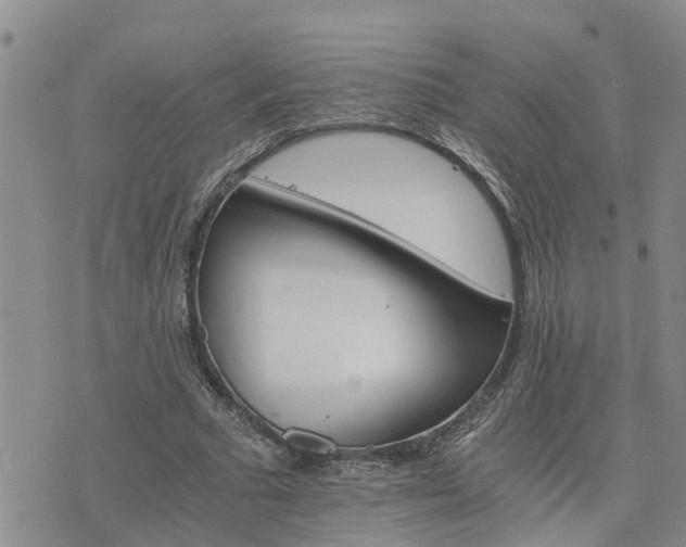 X0000075860681200609221756