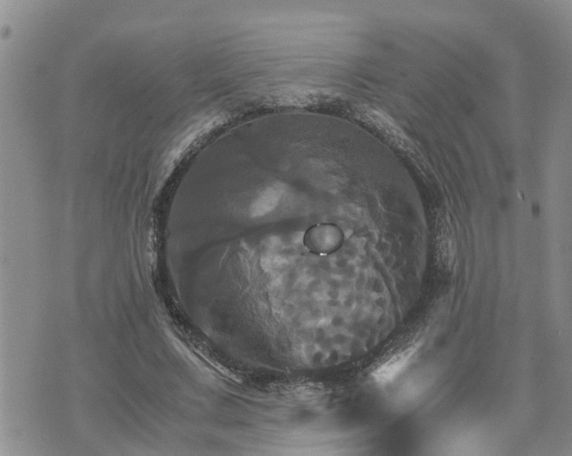 X0000075860683200609221756