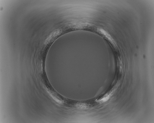 X0000075860685200609221756