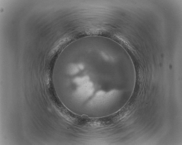 X0000075860687200609221756