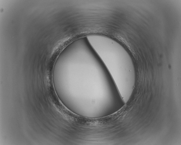 X0000075860688200609221756