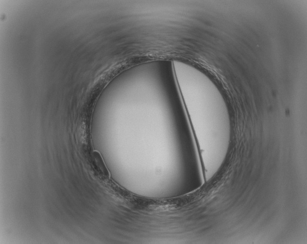 X0000075860689200609221756