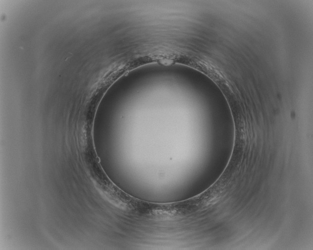 X0000075860690200609221756