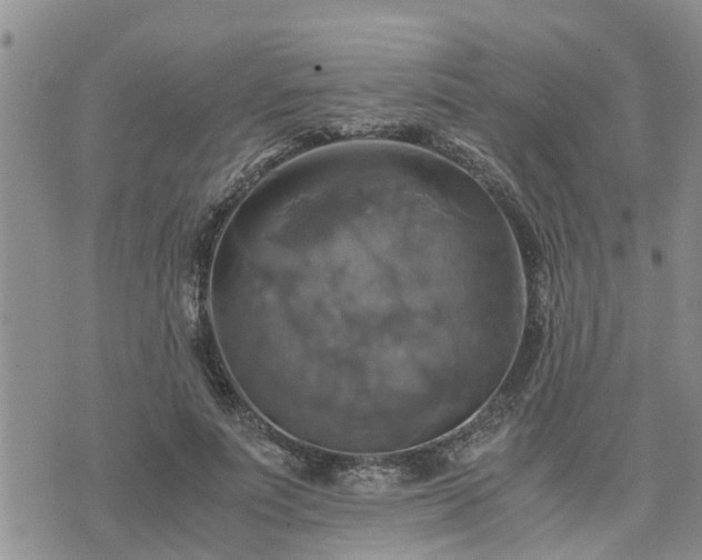 X0000075860691200609221756