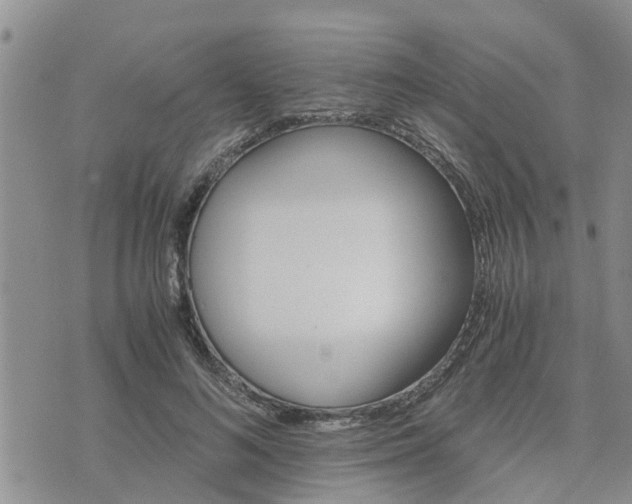 X0000075860692200609221756