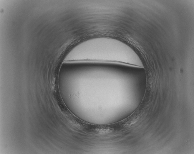 X0000075860693200609221756