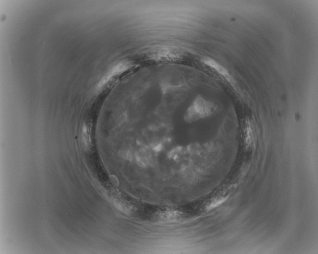 X0000075860695200609221756