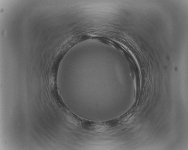 X0000075860697200609221756