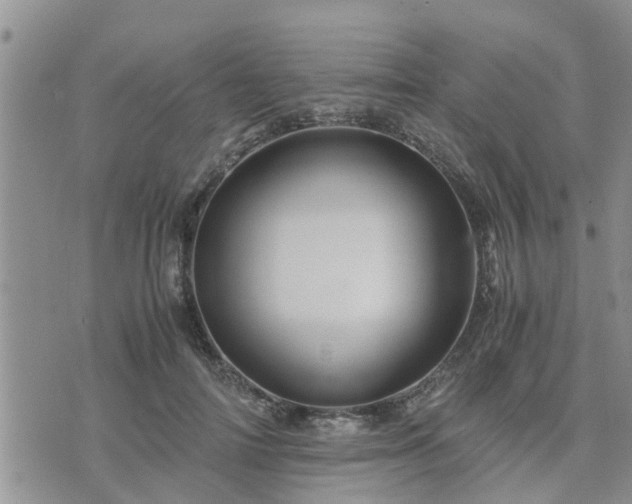 X0000075860698200609221756